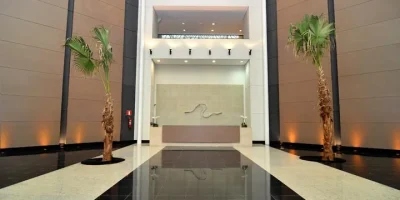 ICON-3